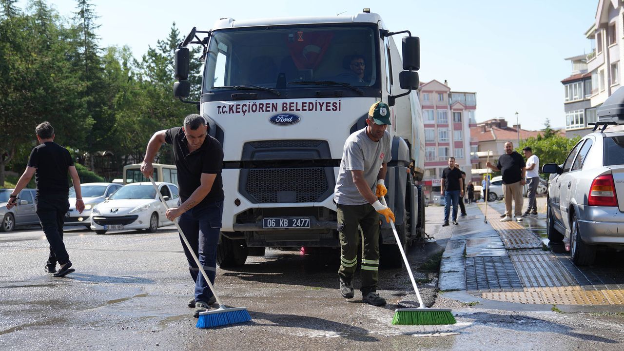 Temizlik Seferi
