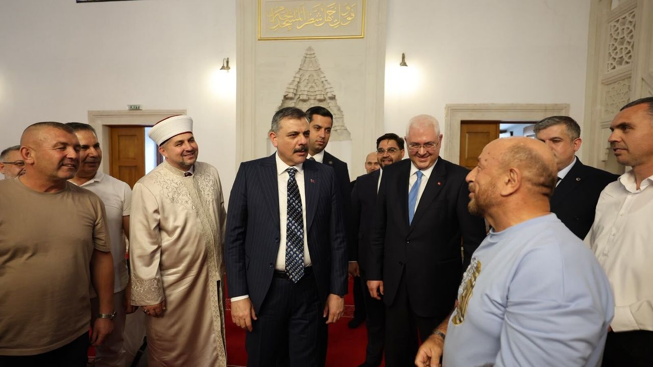 Suç Örgütleri