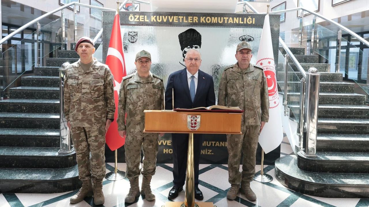 Bordo Bereliler
